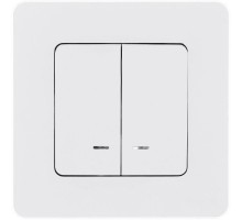 Inspiria Белый Выключатель 2-клавишный с подсветкой С/У без рамки  673630  Legrand