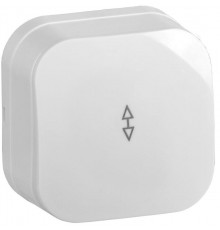 ВСп10-1-0-ХБ Выключ. 1-кл. проход. о/у 10А GLORY белый  EVH12-K01-10  IEK