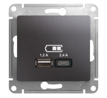 Glossa Графит USB Розетка A+С, 5В/2,4А, 2х5В/1,2 А, механизм  GSL001339  SE