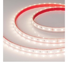 Лента светодиодная герметичная RTW-PS-B60-12mm 24V Day4000 (14.4 W/m, IP67, 5060, 5m) (arlight, -)  021398(2)  Arlight