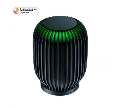 Акустическая система серии SberBoom цвет черный  SBDV-00090a  Sber