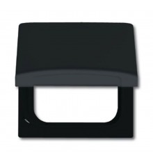 Плата промеж. с крыш. для центр. плат серий Busch-Duro 2000 SI и Reflex SI, IP44, серия Allwetter 44, цвет антр.  1710-0-1936   2CKA001710A1936  AB