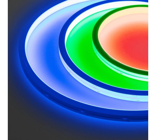 Образец Гибкий неон ARL-MOONLIGHT-1213-TOP 24V RGB (arlight, 12 Вт/м, IP67)  029778  Arlight
