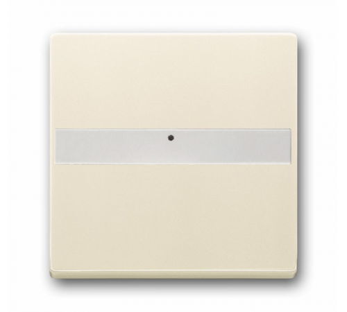 Клав. с полем для надписи, со световодом, для выкл./перекл./кнопок, серия solo/future, цвет savanne/сл. кость  1731-0-1876   2CKA001731A1876  ABB