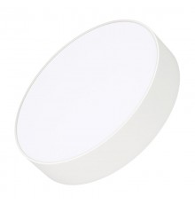 Светильник IM-RONDO-EMERGENCY-3H-R250-23W Day4000 (WH, 120 deg, 230V) (Arlight, IP40 Металл, 2 года)  041171  Arlight