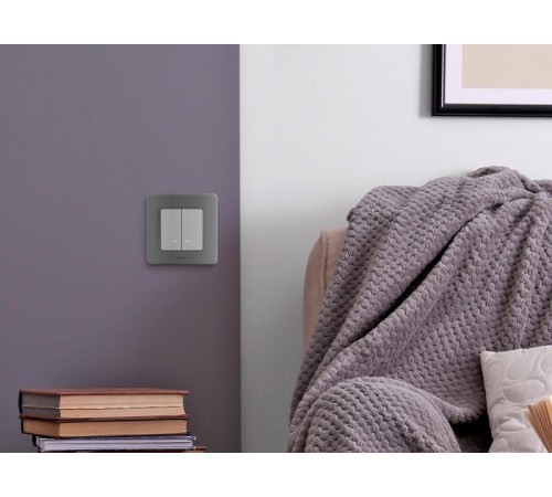 Inspiria Алюминий Выключатель 2-клавишный с подсветкой С/У без рамки  673632  Legrand