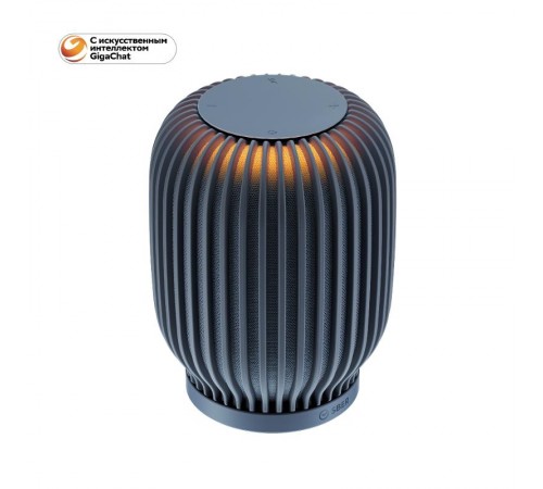 Акустическая система серии SberBoom цвет темно-серый  SBDV-00090s  Sber