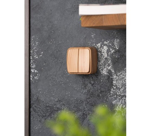 Выключатель 2-клавишный ОП Минск 10А светлое дерево EKF  EGV10-023-30  EKF