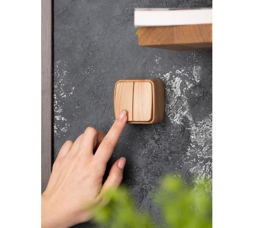 Выключатель 2-клавишный ОП Минск 10А светлое дерево EKF  EGV10-023-30  EKF