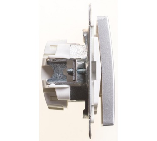 W59 Шампань Переключатель 1-клавишный, 10АХ  VS610-156-4-86  SE