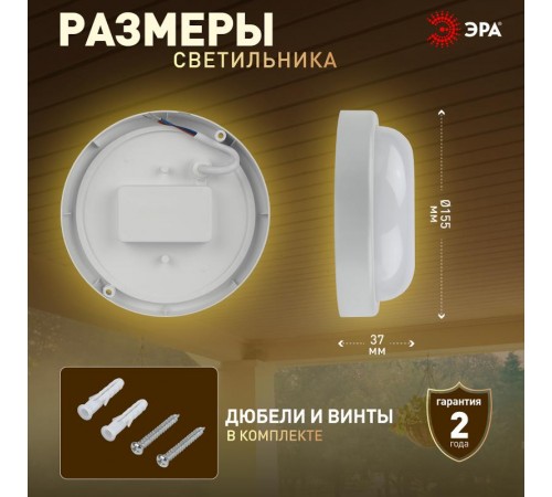 Светильник светодиодный пылевлагозащищенный для ЖКХ SPB-201-2-40К-012 12Вт 1140Лм 4000К IP65 опт-ак ДД  Б0047636  Эра