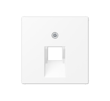 Крышка для одинарных телефонных и компьютерных розеток (UAE), фиксация винтом; термопласт; белый матовый; A500  A569-1BFPLUAWWM  Jung