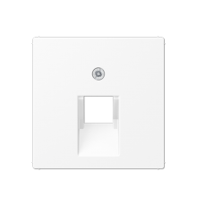 Крышка для одинарных телефонных и компьютерных розеток (UAE), фиксация винтом; термопласт; белый матовый; A500  A569-1BFPLUAWWM  Jung
