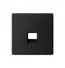 ArtGallery Карбон Накладка информационная типа Keystone  GAL001084  SE