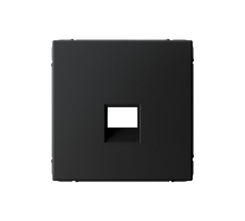 ArtGallery Карбон Накладка информационная типа Keystone  GAL001084  SE