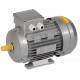 Электродвигатель 3ф.АИР 63B6 380В 0,25кВт 1000об/мин 1081 (лапы) DRIVE  DRV063-B6-000-3-1010  IEK