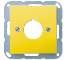 Крышка для установки специальных изделий A564GE Jung