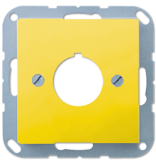 Крышка для установки специальных изделий A564GE Jung