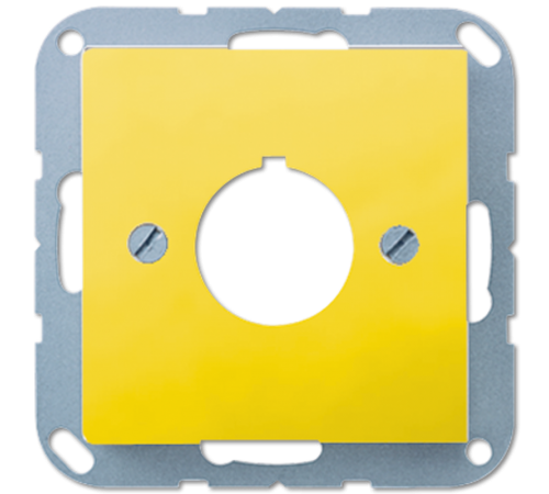 Крышка для установки специальных изделий A564GE Jung