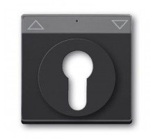 Плата центральная (накладка) для мех. выкл. жалюзи с зам., с полем дл надписи, серия solo/future, цвет антрацит  1710-0-3626   2CKA001710A3626  ABB