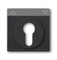 Плата центральная (накладка) для мех. выкл. жалюзи с зам., с полем дл надписи, серия solo/future, цвет антрацит  1710-0-3626   2CKA001710A3626  ABB