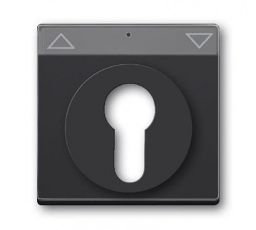 Плата центральная (накладка) для мех. выкл. жалюзи с зам., с полем дл надписи, серия solo/future, цвет антрацит  1710-0-3626   2CKA001710A3626  ABB