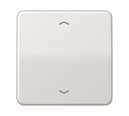 Клавиша для одинарной кнопки BCU; светло-серая CD590PLG Jung