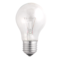 Лампа накаливания ЛОН  40Вт Е27 240В A55 clear (Б 230-40-5)  3326623  Jazzway