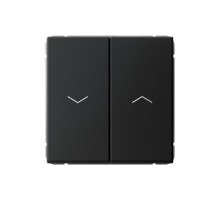 ArtGallery Карбон Выключатель 2-клавишный ДЛЯ ЖАЛЮЗИ, 2х сх.4, 10А, механизм, быстрозажим. клем.  GAL001019S  SE