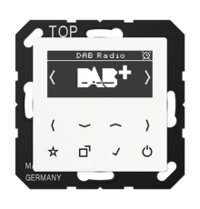 Цифровое радио DAB+ DABAWW Jung