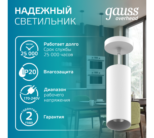 Светильник светодиодный накладной/подвесной HD036 12W (белый/белый) 4100K 79*200мм 1/10  HD036  Gauss