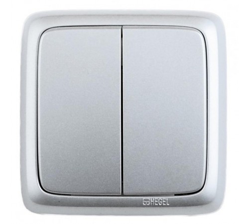 Выключатель открытой установки, двухклавишный, с изолирующей пластиной, цвет серебро  ВА16-153-06  HEGEL