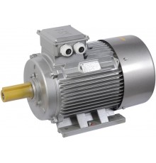 Электродвигатель 3ф.АИР 315S2 660В 160кВт 3000об/мин 1081 (лапы) DRIVE   DRV315-S2-160-0-3010  IEK