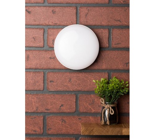 Светильник светодиодный ЖКХ круг ДПО-2001 8Вт 4000K IP65  EKF PROxima  BKL-2001-R-8-4000  EKF