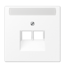 Плата (фиксация винтом) для двух модулей с полем для надписи; термопласт; белый матовый  LS969-2NAUAWWM  Jung