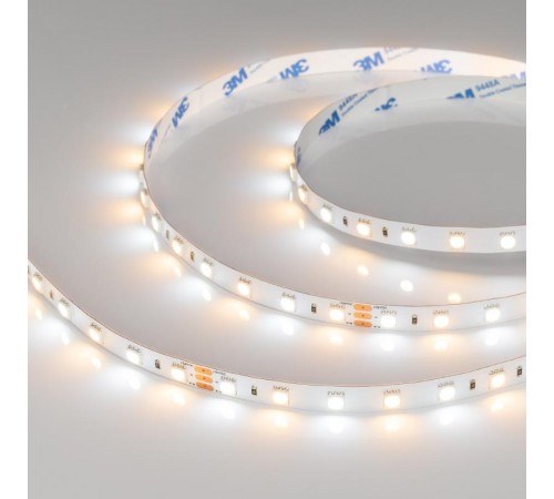 Лента светодиодная RT 6-5000 24V White-MIX 2x (5060, 60 LED/m, LUX)  025213  Arlight
