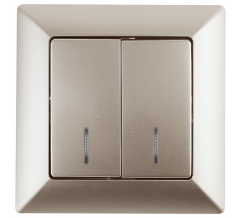 4-105-04 Intro Выключатель двойной с подсветкой, 10А-250В, СУ, Solo, шампань  Б0043294  Intro