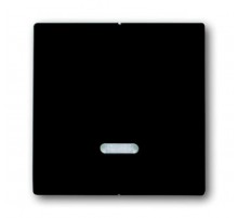 Клавиша для 2-канального светорегулятора 6565 U, серия solo/future, цвет антрацит  6599-0-2906   2CKA006599A2906  ABB