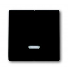 Клавиша для 2-канального светорегулятора 6565 U, серия solo/future, цвет антрацит  6599-0-2906   2CKA006599A2906  ABB