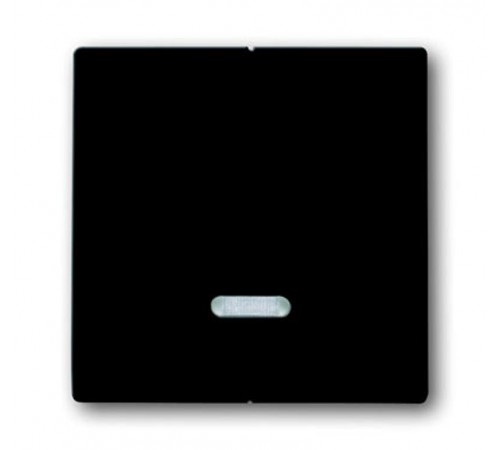 Клавиша для 2-канального светорегулятора 6565 U, серия solo/future, цвет антрацит  6599-0-2906   2CKA006599A2906  ABB