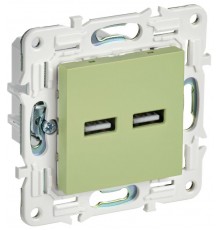 SKANDY Розетка USB A+A 3,1А SK-R15M мятный  SK-U21-D31-K06  IEK