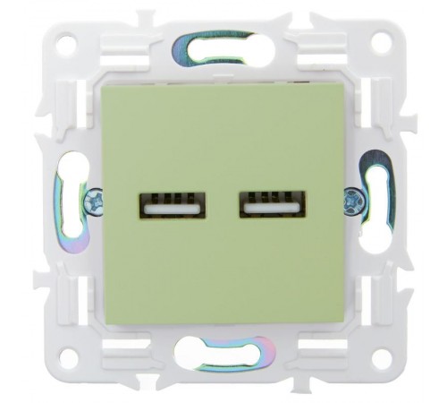 SKANDY Розетка USB A+A 3,1А SK-R15M мятный  SK-U21-D31-K06  IEK