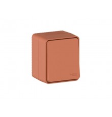 AtlasDesign Profi54 Терракотовый О/У Переключатель 1-клавишный 10 АХ  ATN547061  SE