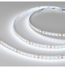 Лента светодиодная NT-A120-8mm 24V White6000 (9.6 W/m, IP20, 3528, 5m) (arlight, Открытый)  033525  Arlight