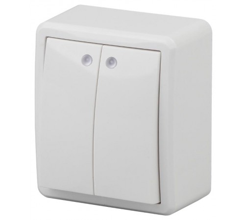 Выключатель 2-клавишный с подсветкой 11-1205-01 , 10АХ-250В, ОУ, Эксперт, Белый Б0020666  ЭРА