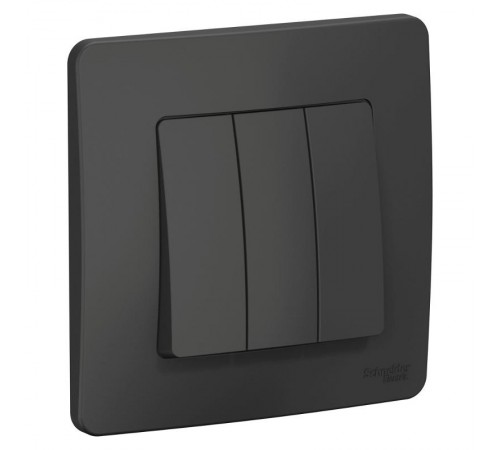 Blanca Антрацит С/У Выключатель 3-клавишный, 10А, 250B  BLNVS100506  SE