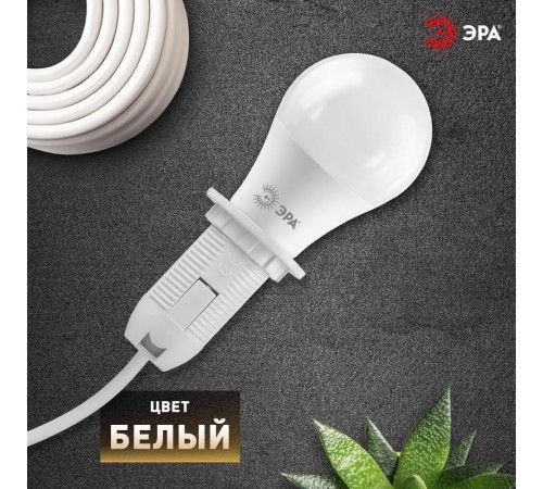 Патрон Е14 с кольцом,пластик, белый (x50)  Б0043746  ЭРА