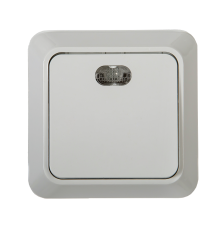 Выключатель одноклавишный с подсветкой BOLLETO белый накладной 7121  4680005959754  IN HOME