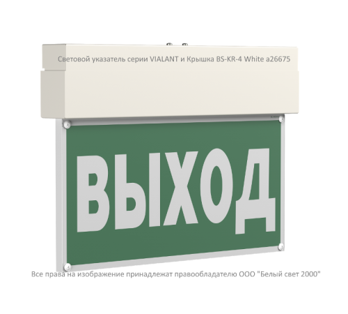 Световой указатель аварийного освещения BS-VIALANT-10-S1-ELON  a17040  Белый свет