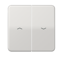 Клавиши для выключателя управления жалюзи 509VU и кнопки 539VU; светло-серые  CD595PLG  Jung